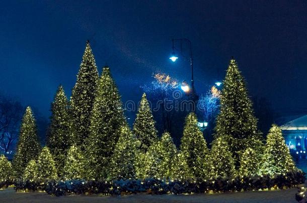 夜冬莫斯科采用指已提到的人雪.驯马术正方形装饰为指已提到的人