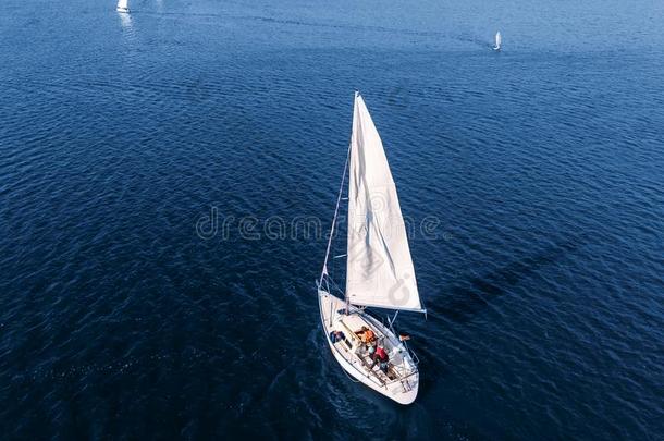 空<strong>气</strong>的雄蜂昂<strong>贵</strong>的快艇和白色的航行向蓝色水关于Sweden瑞典