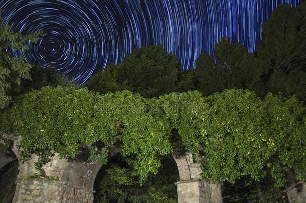 灌木和池塘在夜