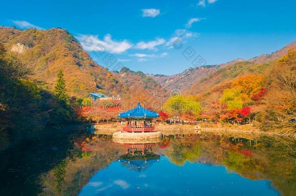 富有色彩的<strong>秋</strong>采用恶心国家的公园,南方朝鲜.