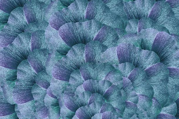 花的绿松石-紫色的背景.一花束关于绿松石和英语字母表的第22个字母