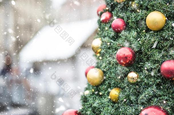 圣诞节树和杂乱家畜的肺脏采用下雪的大气
