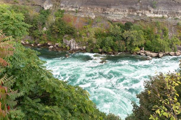 尼亚加拉河急流河流动的通过山峡和急流