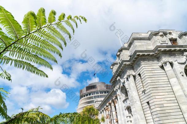 新的西兰岛政府建筑物