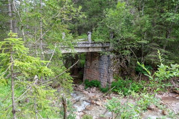 一老的被放弃的桥