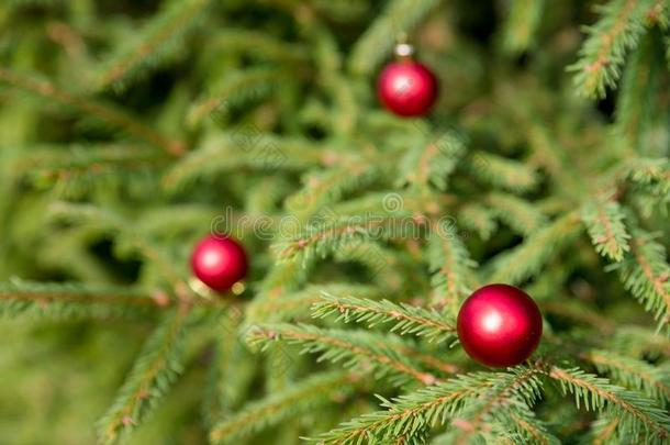 红色的装饰向圣诞节树.圣诞节球装饰装饰