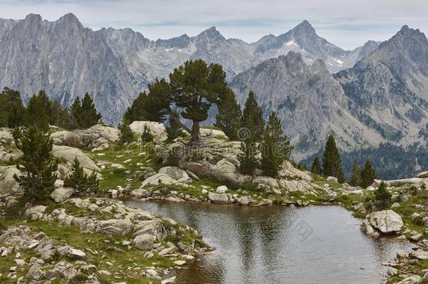 艾格河错误国家的公园山风景.埃斯塔尼d阿米格斯.