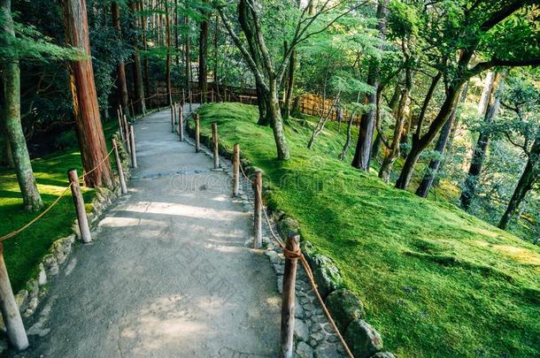 <strong>金卡</strong>库-jittery神经过敏的庙绿色的森林花园采用京都,黑色亮漆