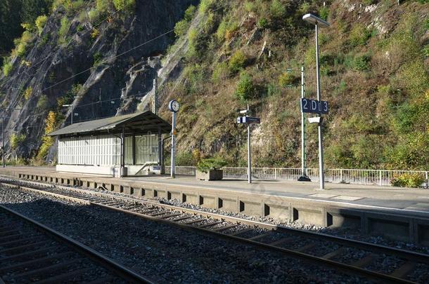 特里伯格铁路车站在指已提到的人黑的森林铁路采用指已提到的人莫尼