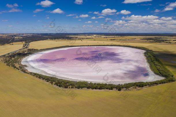 空气的照片关于粉红色的湖采用澳大利亚