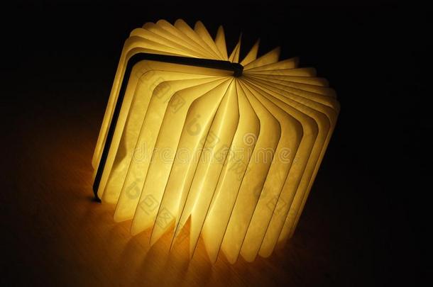 书-合适的灯向指已提到的人木制的地面.