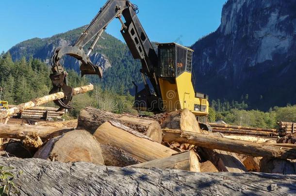 林学设备伐木搬运业木材木材