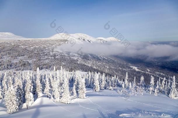 全景的风景优美的看法从顶关于山风景冬英国压力单位