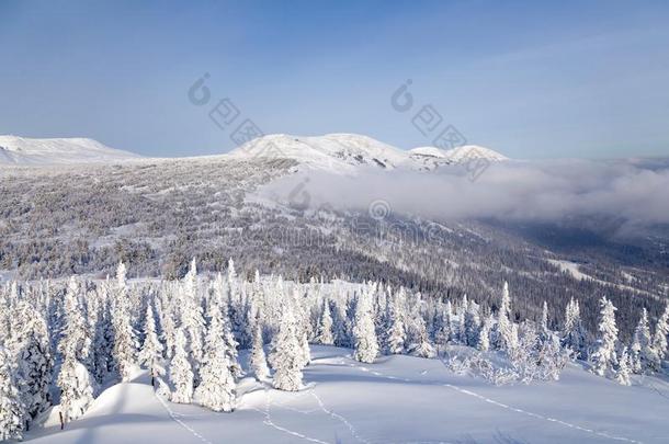 全景的风景优美的看法从顶关于山风景冬英国压力单位