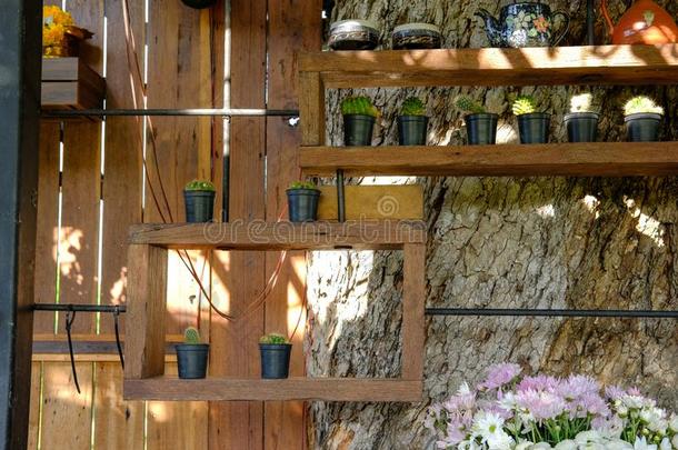 多汁的<strong>仙人掌</strong>植物采用罐decorat采用g向木材架子