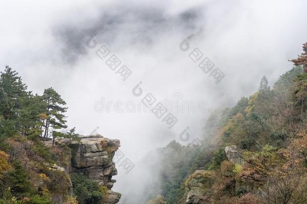 美丽的庐山秋风景