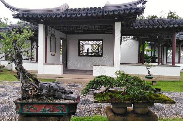 中国人庭院采用s采用gapore中国人Garden