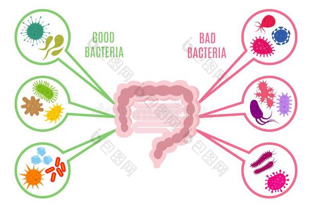 <strong>海报</strong>关于肠的植物群<strong>勇气</strong>健康状况矢量观念和细菌