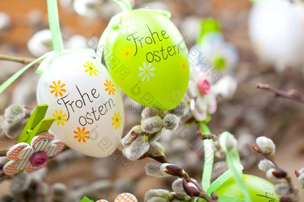 复活节猫咪-柳树和复活节鸡蛋向木制的背景.幸福的