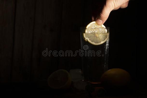杜松子酒和滋补品喝serve的过去式和冰,柠檬兴趣和新鲜的罗塞马