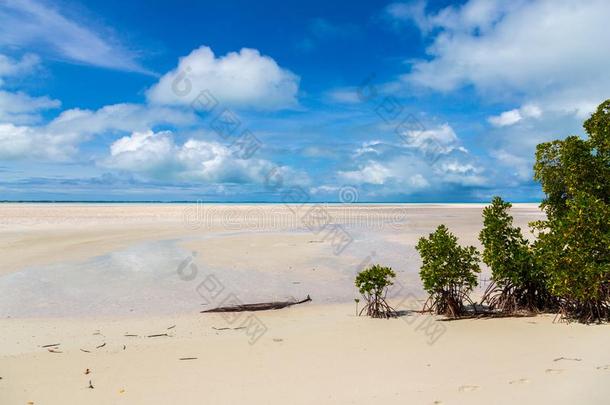 沙的天堂海滩关于蔚蓝绿松石蓝色浅的环礁湖,也不