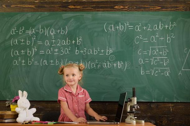 小的女孩学习使用计算机科技采用班级.教育
