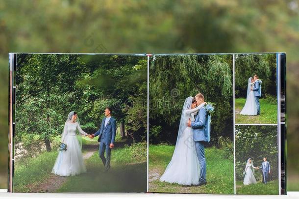 页关于婚礼相片本或婚礼相册向绿色的背景