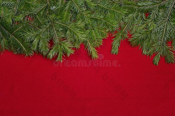 圣诞节背景和冷杉树树枝和空间为文本