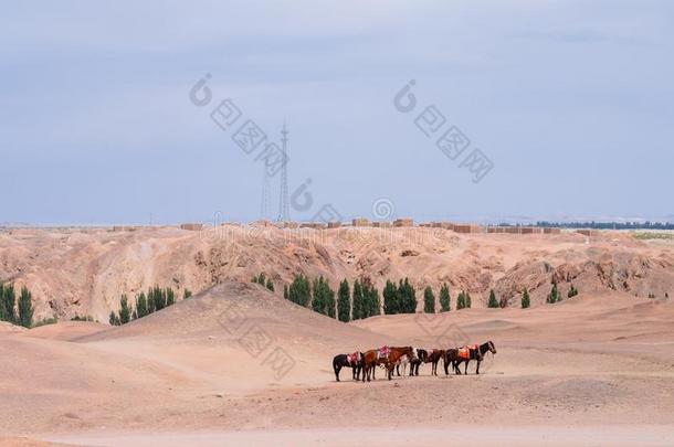 马采用戈壁沙漠在指已提到的人历史的地点关于阳走过,采用yarn线