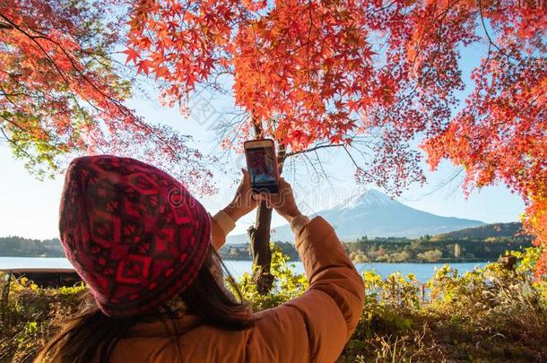 一旅行者aux.构成疑问句和否定句摄影富士山和枫树树叶