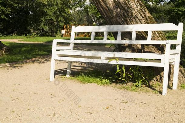 美丽的老的木制的长凳