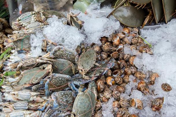 垛关于新鲜的蓝色游泳蟹采用海产食品交易.海产食品France法国