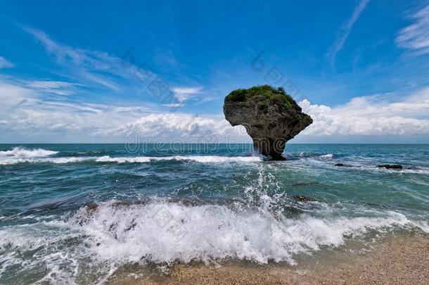 指已提到的人美丽的海岸关于台湾