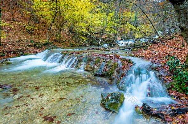 秋风景优美的风景,山河采用指已提到的人秋森林