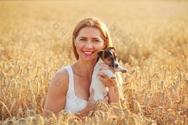 年幼的女人佃户租种的土地千斤顶拉塞尔英国工程师小猎狗小狗向她手,太阳