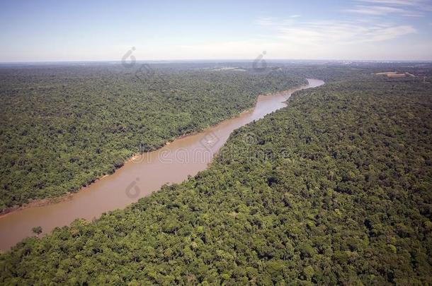 森林一起指已提到的人伊瓜苏河,巴西苏木
