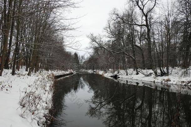 河系统管理员和下雪的树,立陶宛