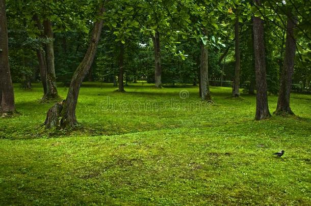 春季风景风景-美好采用自然,风景s和EnvirosphereCompany环球公司