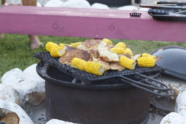 南方非洲的木炭露天烧烤餐会
