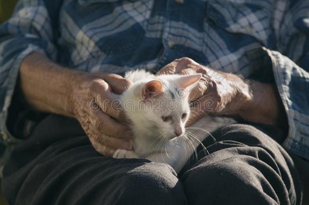 老的男人拥抱猫