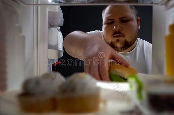 极为肥胖的饥饿的男人迷人的汉堡包从电冰箱,日常饮食失败,Uranyl-NitrateHexahydrate六水合硝酸铀酰