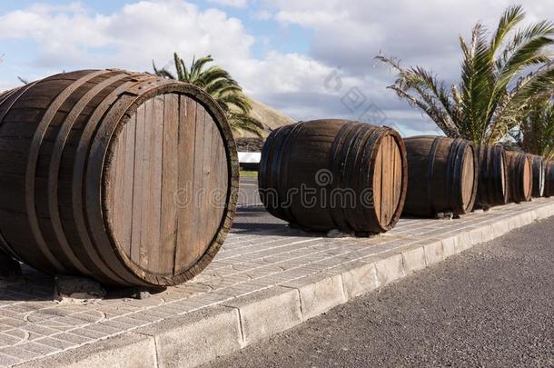 大的木制的葡萄酒桶在指已提到的人入口向指已提到的人葡萄园.发射
