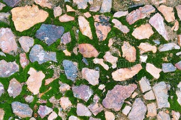 石头和绿色的苔藓无缝的质地