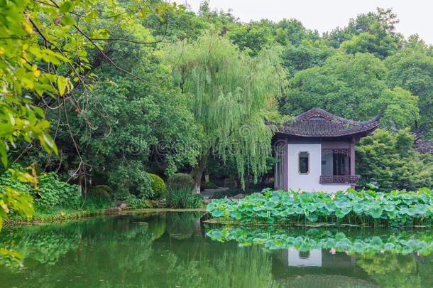 风景和树和中国人房屋和反映采用水