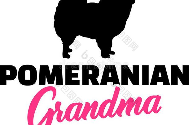 波美拉尼亚的奶奶粉红色的