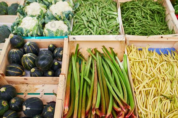 新鲜的健康的个人简历成果和蔬菜向农场主交易