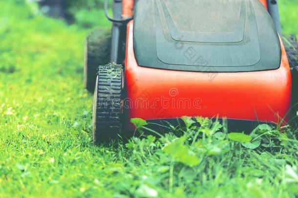 草地割草机割草机草设备割草园丁关心使工作器具