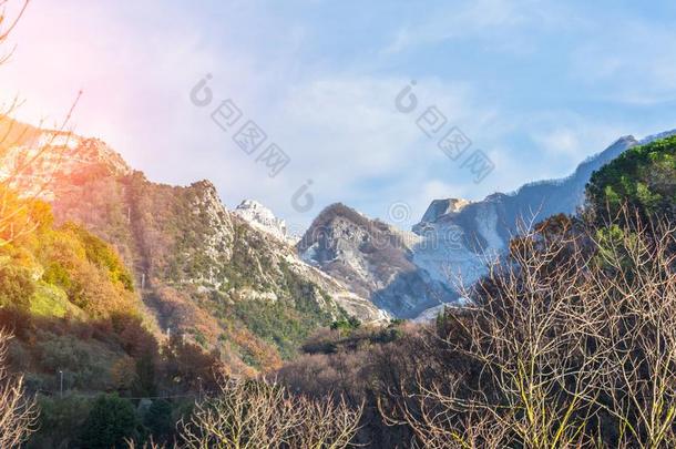 山看和森林,采用指已提到的人前景树在外部离开