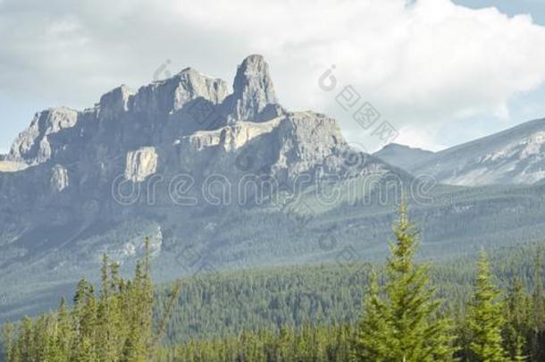 森林树线条和山在的后面采用美国阿拉斯加州