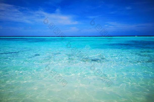 热带的马尔代夫海滩和绿松石蓝色水和蓝色天.